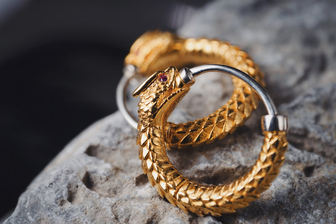 a close up of two rings on a rock